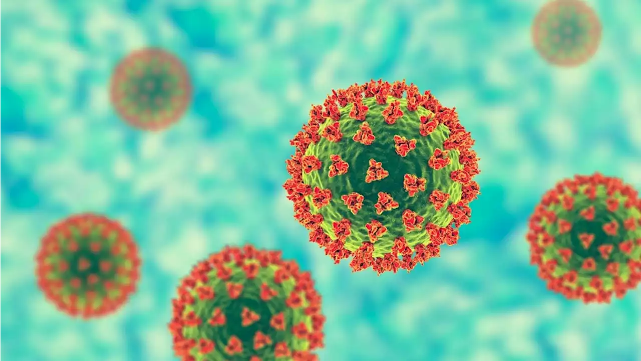 SARS-CoV-1 and SARS-CoV-2 spike proteins utilize different mechanisms to bind to ACE2