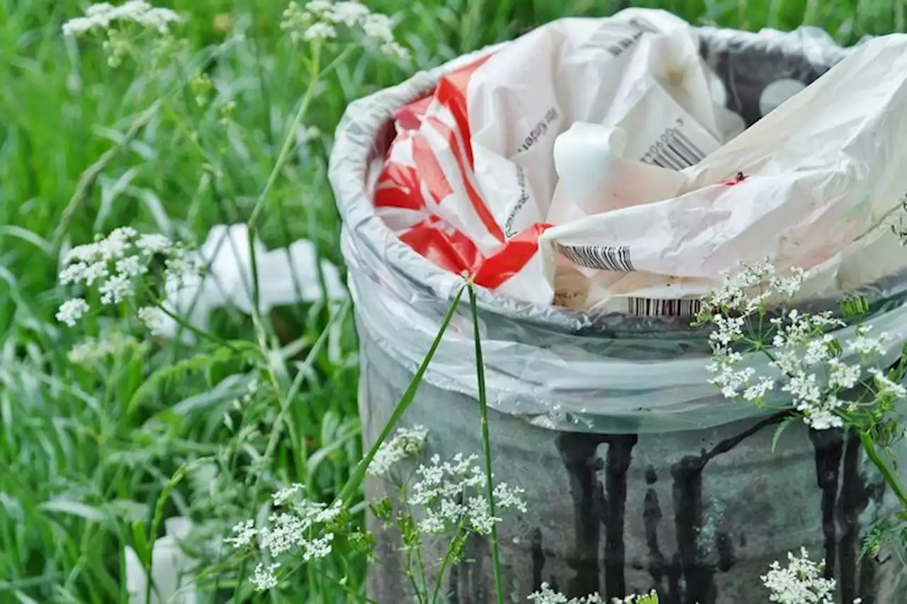 Sampah Liar Terus Muncul di Jalan Cipatik-Soreang, Kades Setempat: Bukan Warga Sini - Pikiran-Rakyat.com