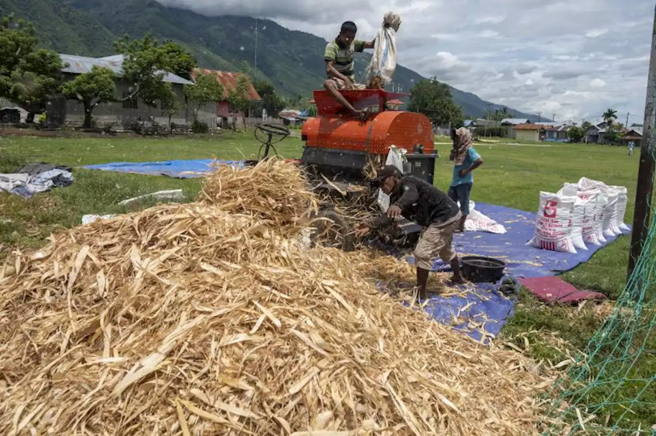 Dosen Universitas Muria Kudus ubah Bonggol Jagung Jadi Aneka Kerajinan |Republika Online