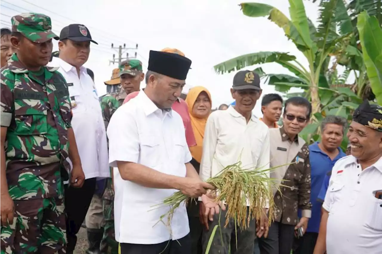 Petani Lalan Curhat ke Pj Bupati Apriyadi Soal Pupuk Subsidi |Republika Online