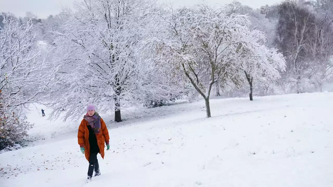 UK weather: Two coal plants warmed up as National Grid runs fifth blackout prevention test to cope with cold snap