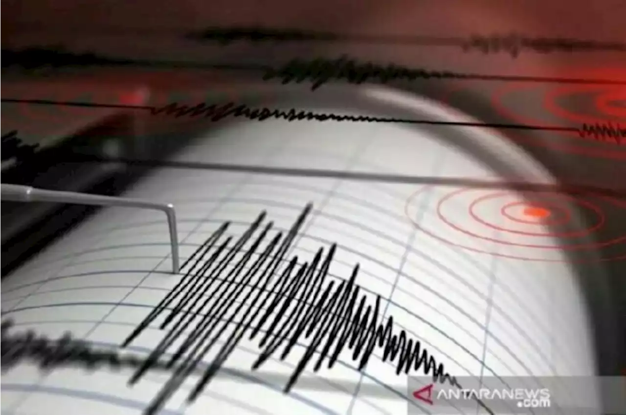 BMKG Catat 9 Gempa Sejak Senin Dini Hari, 4 di NTT