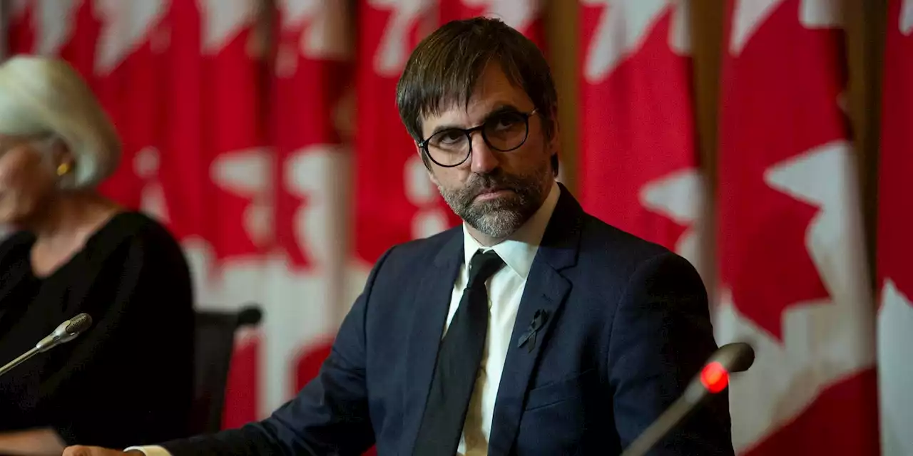Unambitious climate adaptation strategy needs clear goals for disaster mitigation, say climate experts, NDP MP