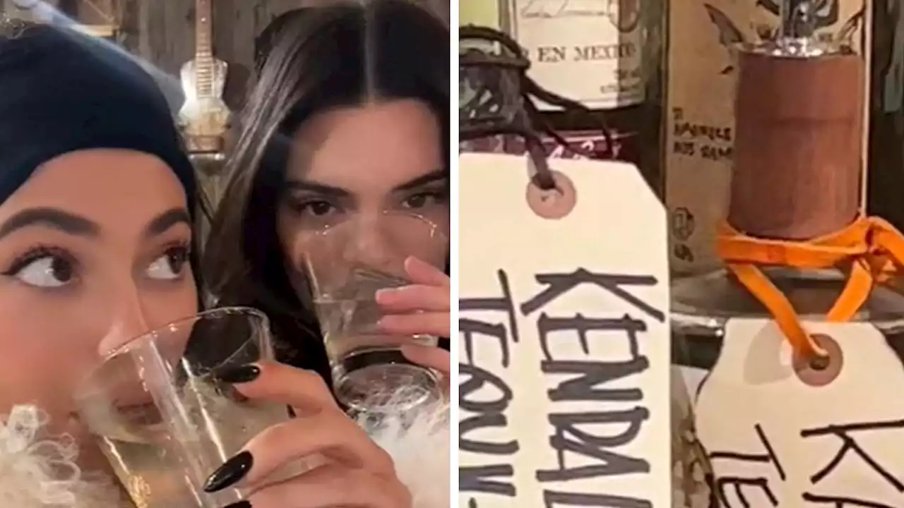 Kendall and Kylie Poke Fun at Kathy Hilton and Lisa Rinna Drama Over 818 Tequila on TikTok