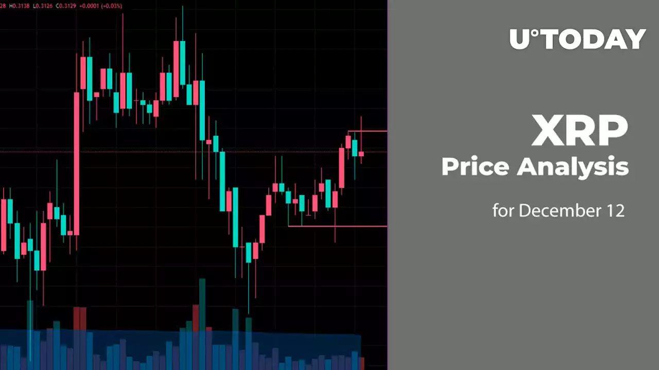 XRP Price Analysis for December 12