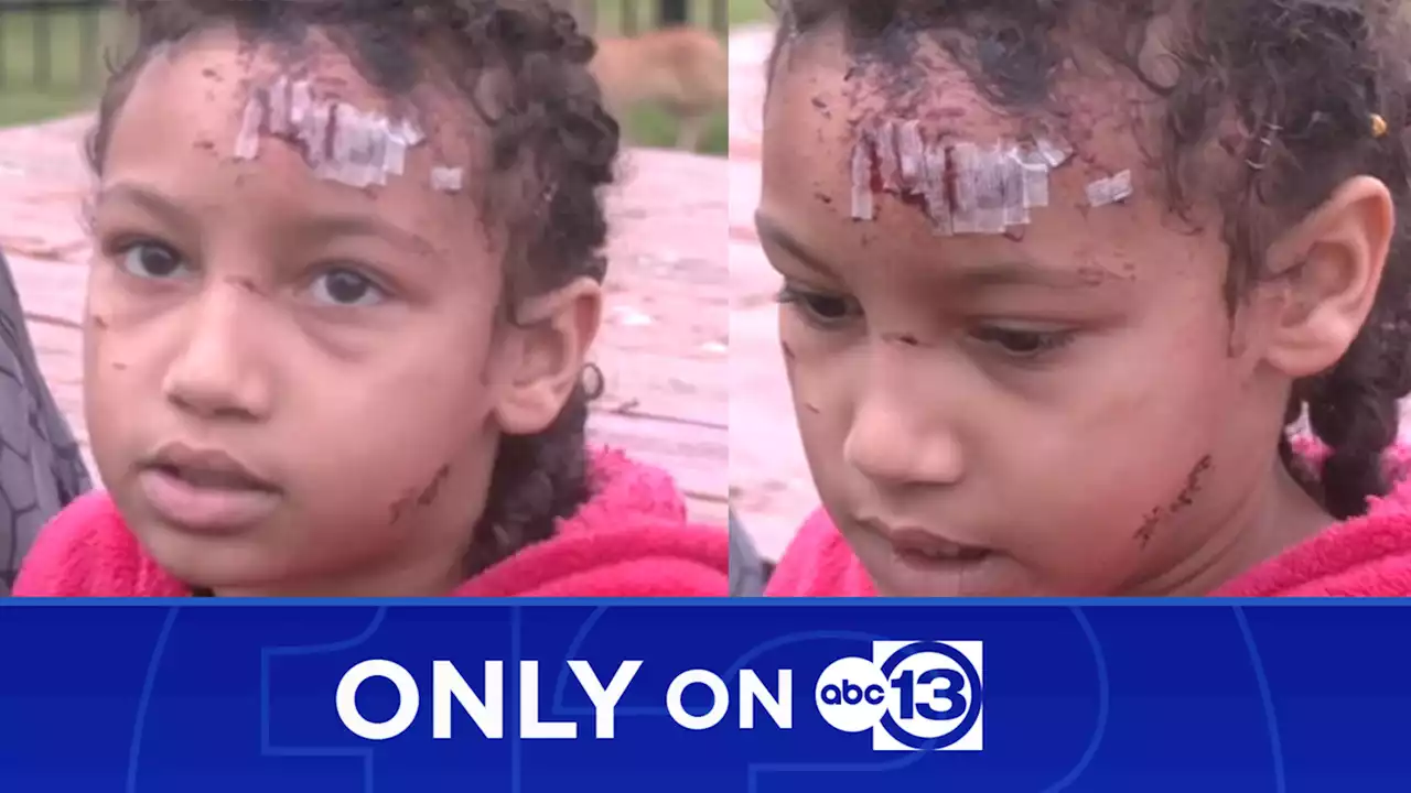 7-year-old tells only ABC13 about surviving church bus crash in east Harris County