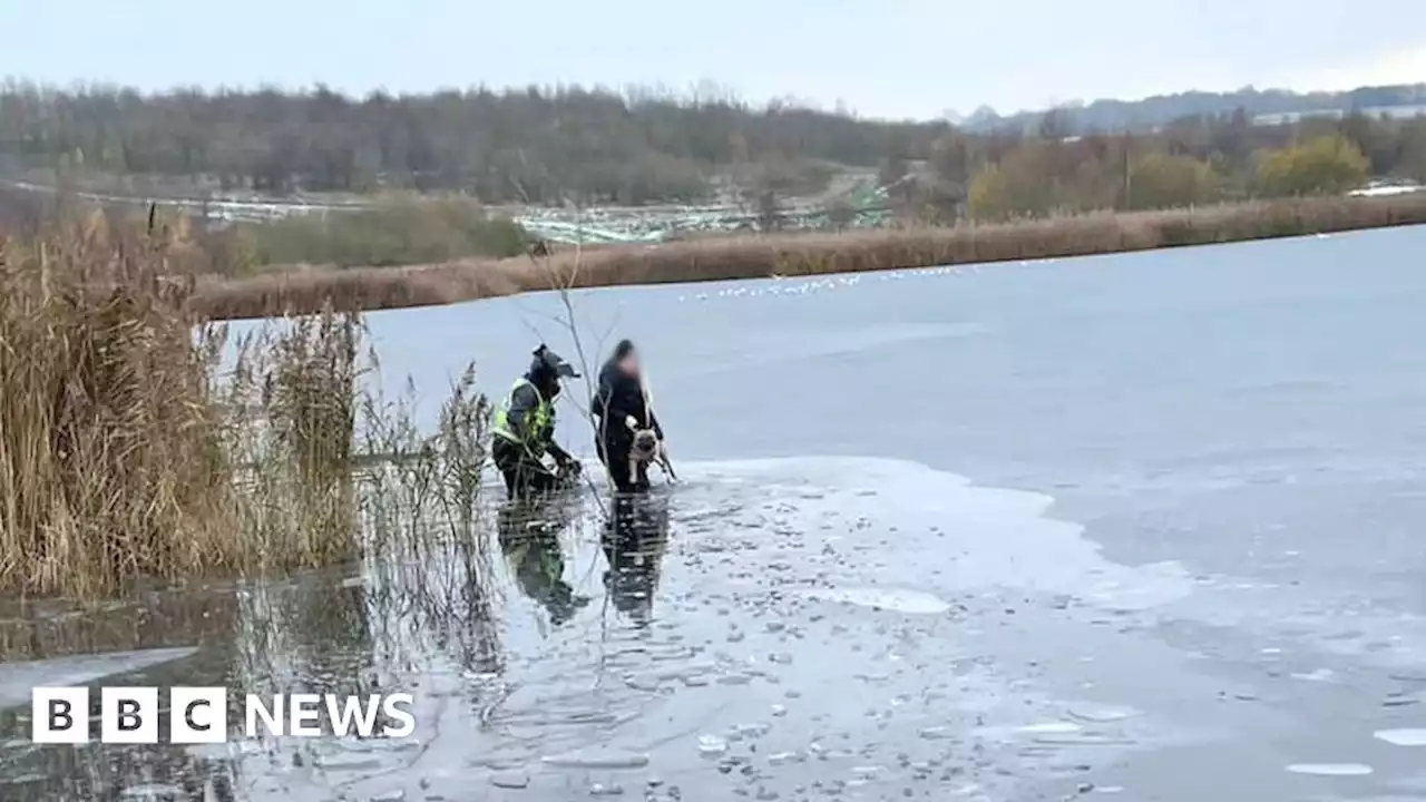 Rotherham: Woman and dog rescued from frozen lake