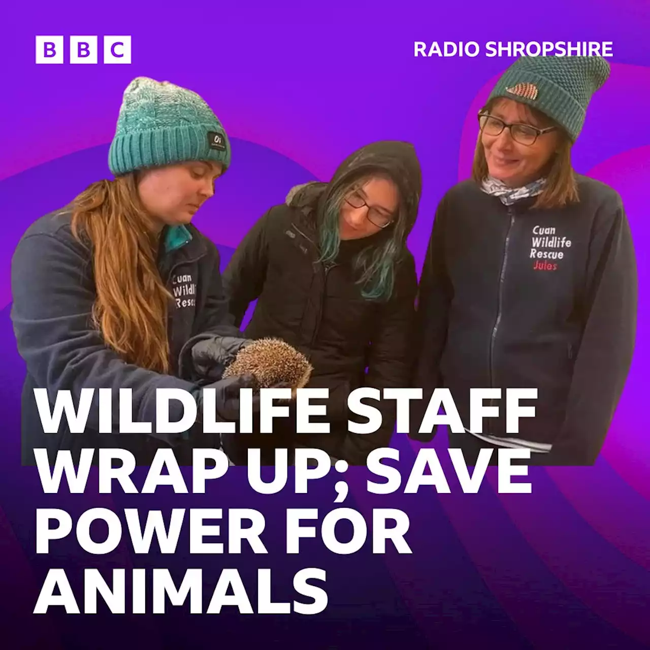 Shropshire wildlife centre staff wrap up to save on bills