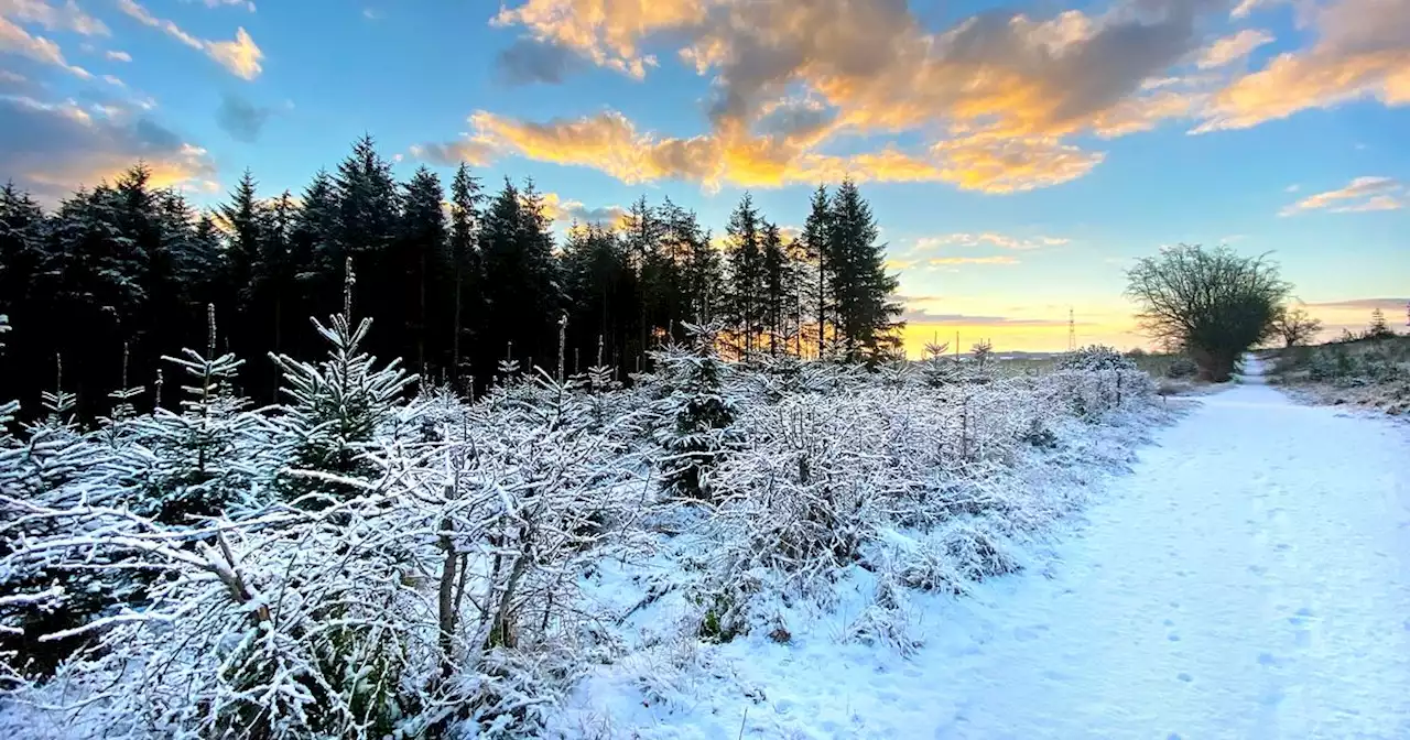 NI weather: Met Office issues update on when wintry conditions will end