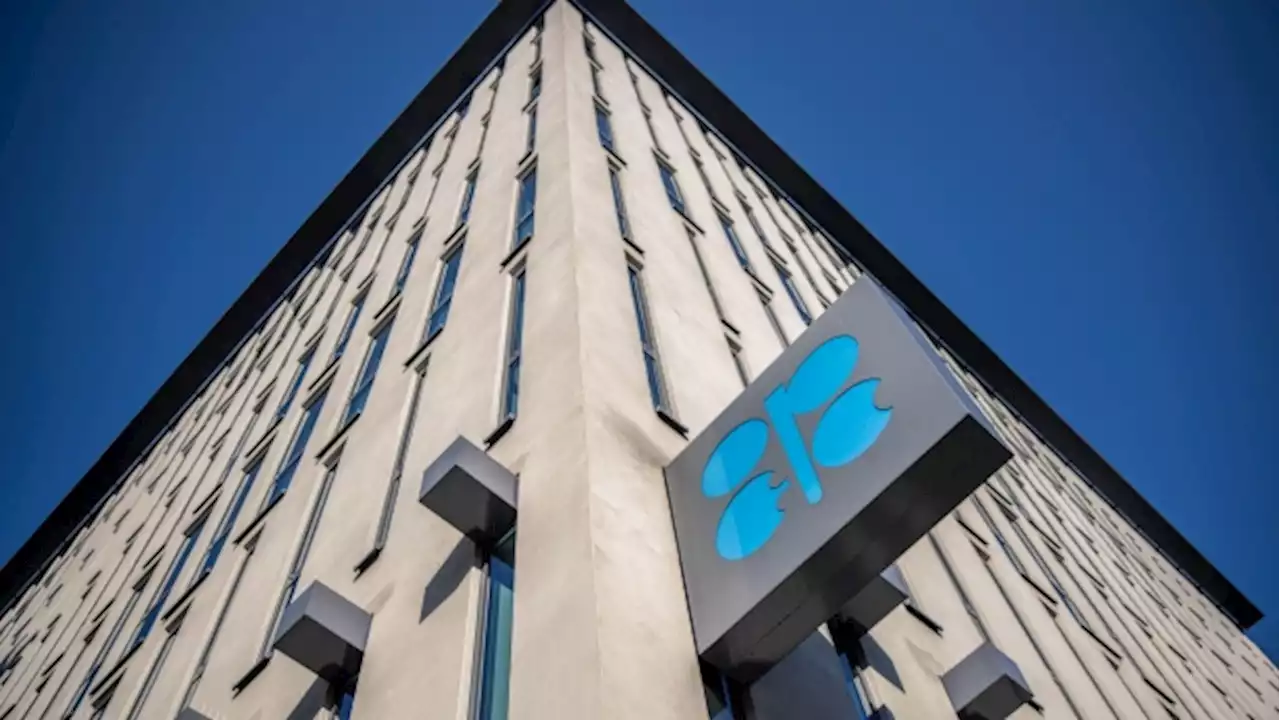 OPEC urges caution as it cuts first-quarter oil demand forecast - BNN Bloomberg