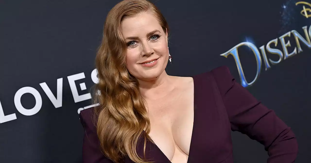 Love of My Life: Amy Adams Developing TV Adaptation of Romance Thriller Novel