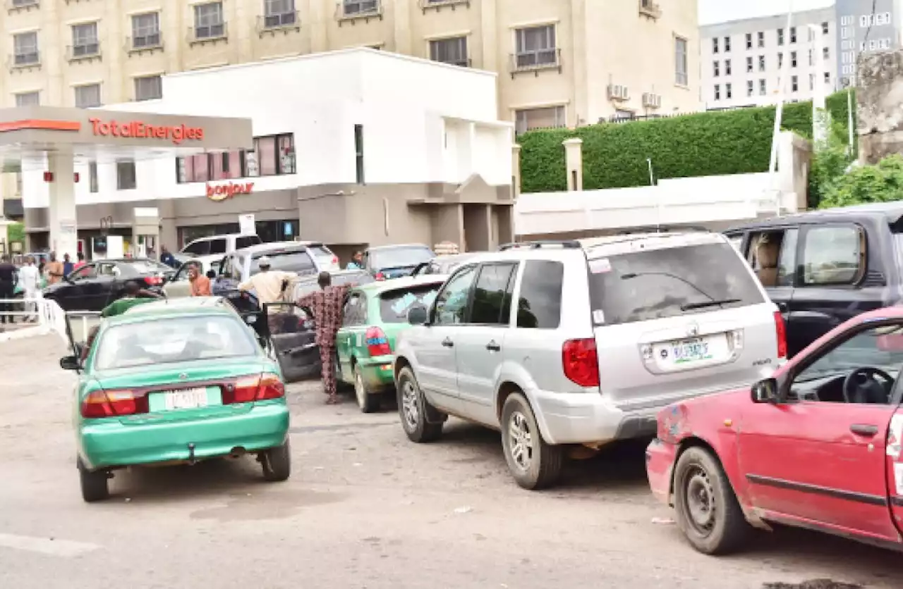 DSS bark, PVCs for sale