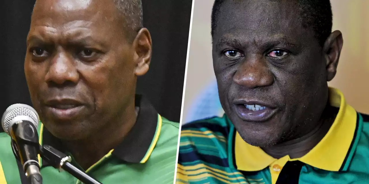 REPUBLIC OF SOUTH AMNESIA: ANC MPs join Mkhize and Mashatile in rebranding themselves as corruption-busters