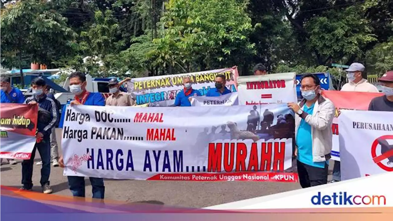 Aksi Demo Peternak Unggas yang Sebut Harga Ayam Kemurahan