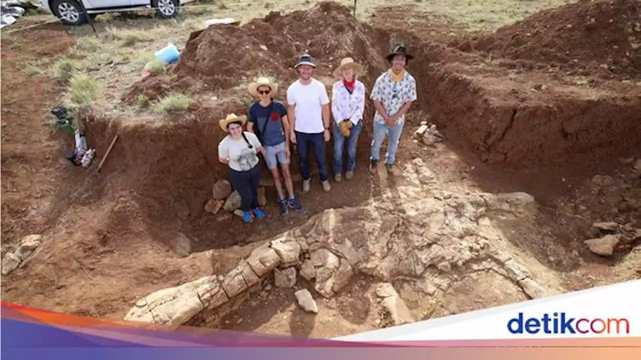 Paleontologi Australia Temukan Fosil Reptil Laut Berusia 100 Juta Tahun