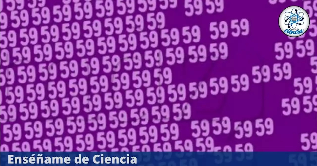 Acertijo viral que pocos han resuelto: Encuentra el número 56 en solo 5 segundos