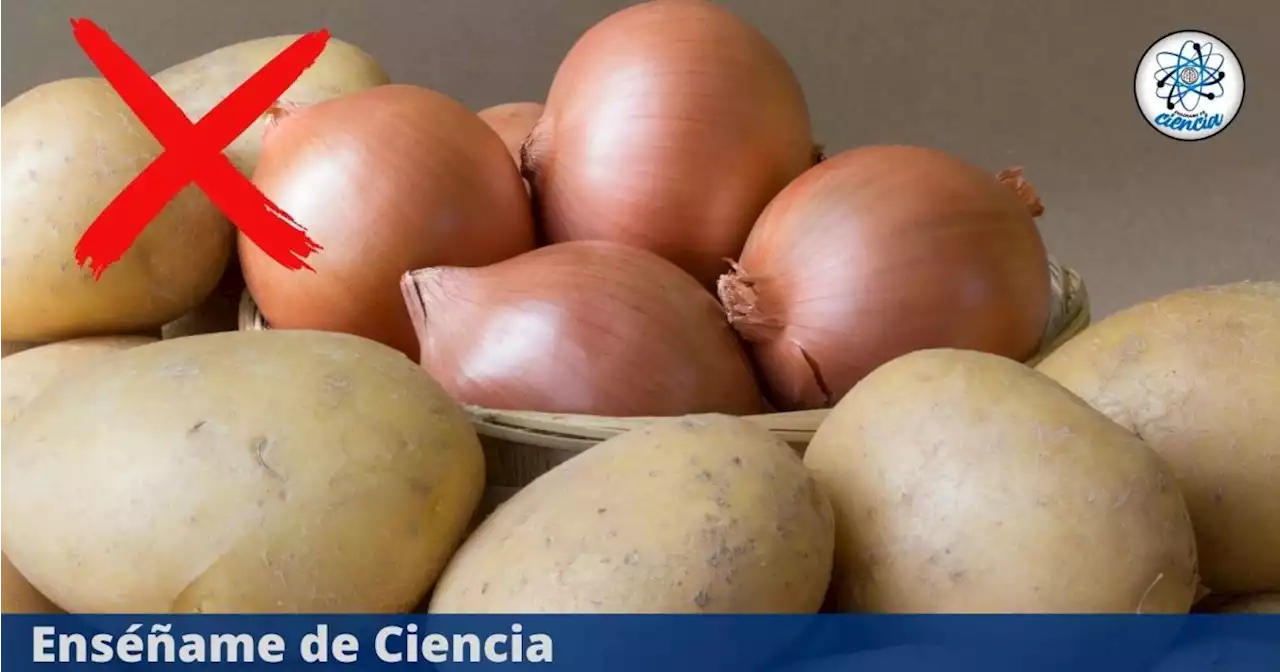 La razón por la que nunca debes almacenar las papas junto a las cebollas