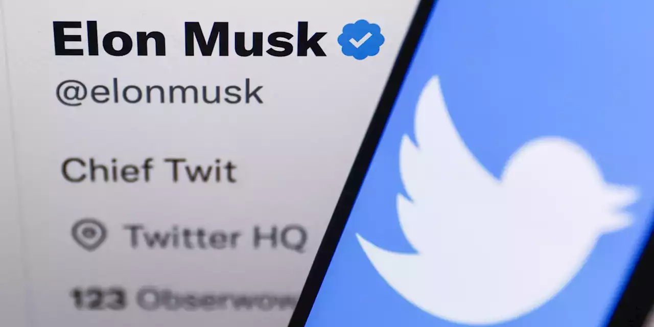 Elon Musk lance le nouveau service d’abonnement payant de Twitter