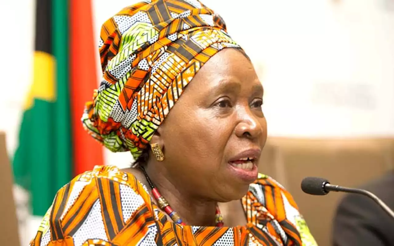 NDZ first of 4 ANC MPs to vote for adoption of Section 89 Phala Phala report