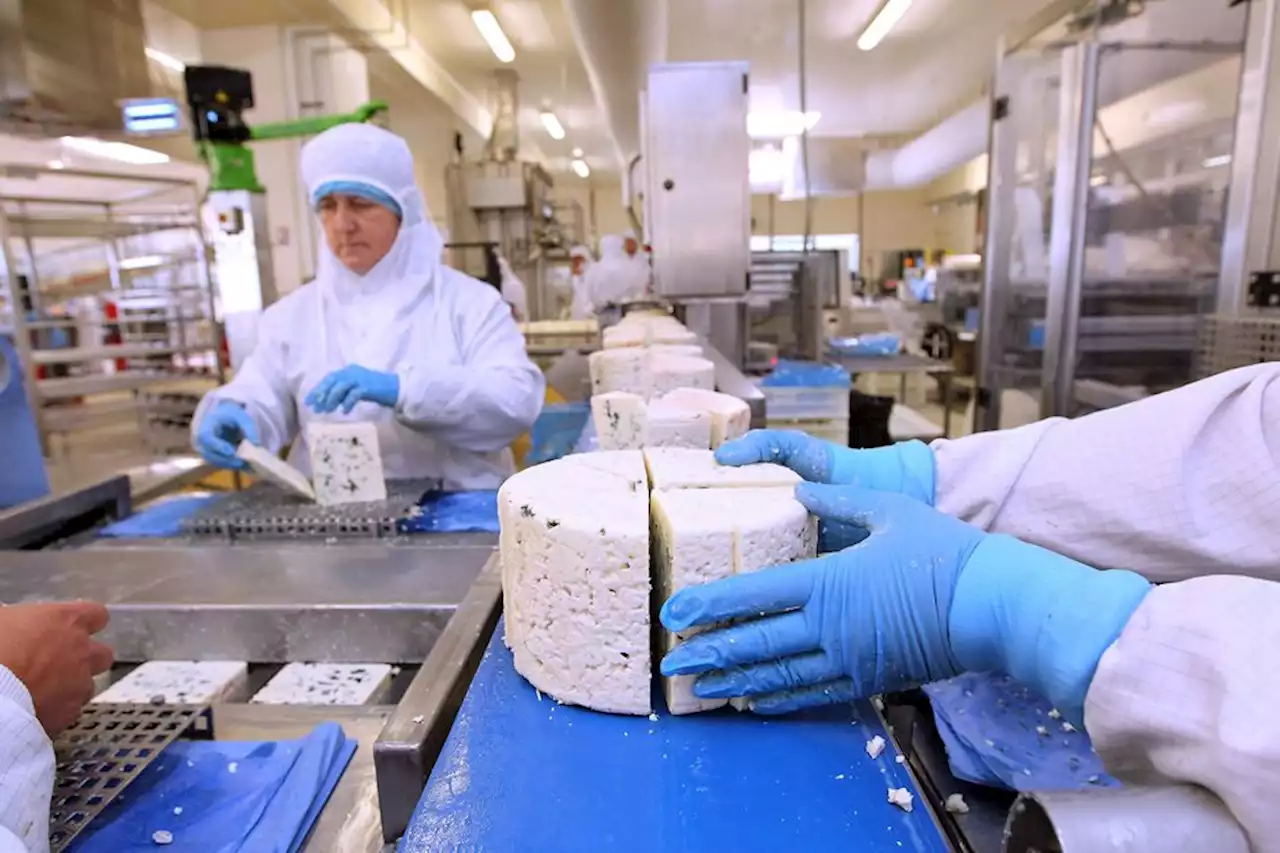 Aveyron : Lactalis recrute plusieurs centaines de personnes sur son site de Roquefort-sur-Soulzon