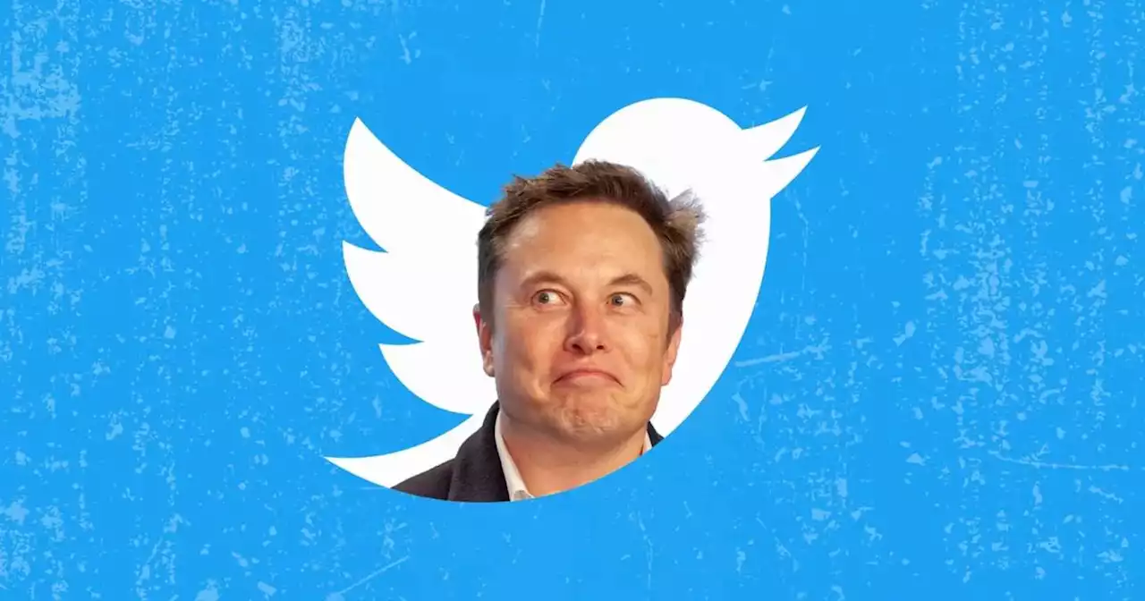 Elon Musk asegura que Twitter Blue reducirá los anuncios a la mitad y ofrecerá un plan sin publicidad