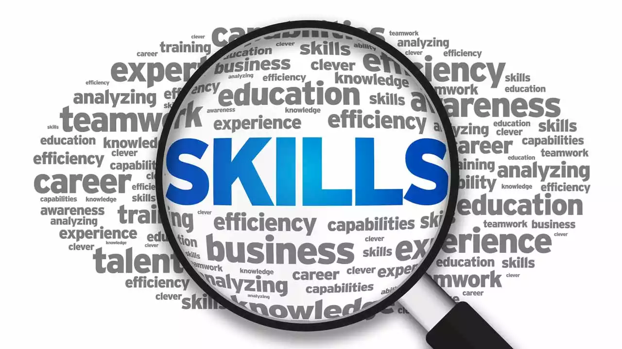 Addressing skills gap in supply chain | The Guardian Nigeria News - Nigeria and World News