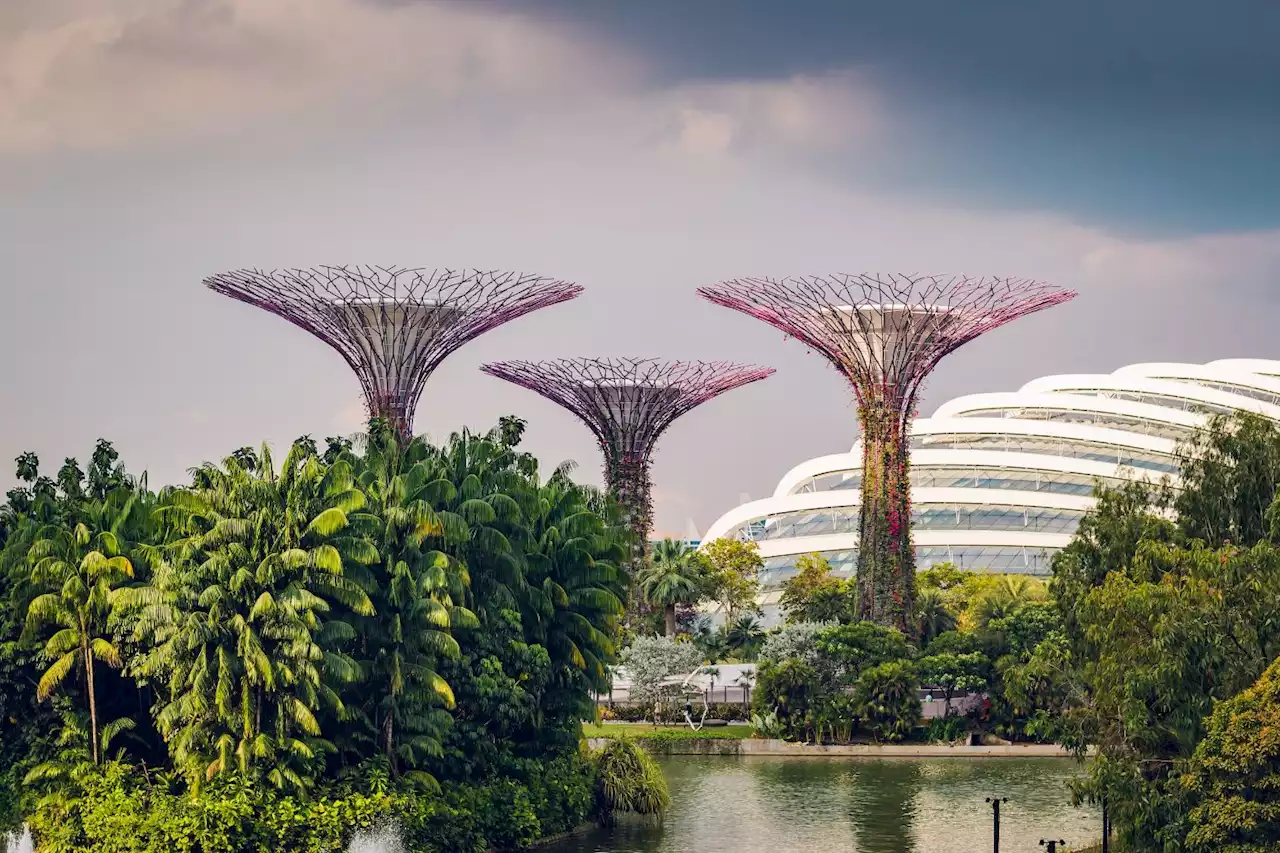 Affyn is Bringing the First Metaverse City to Singapore | HackerNoon