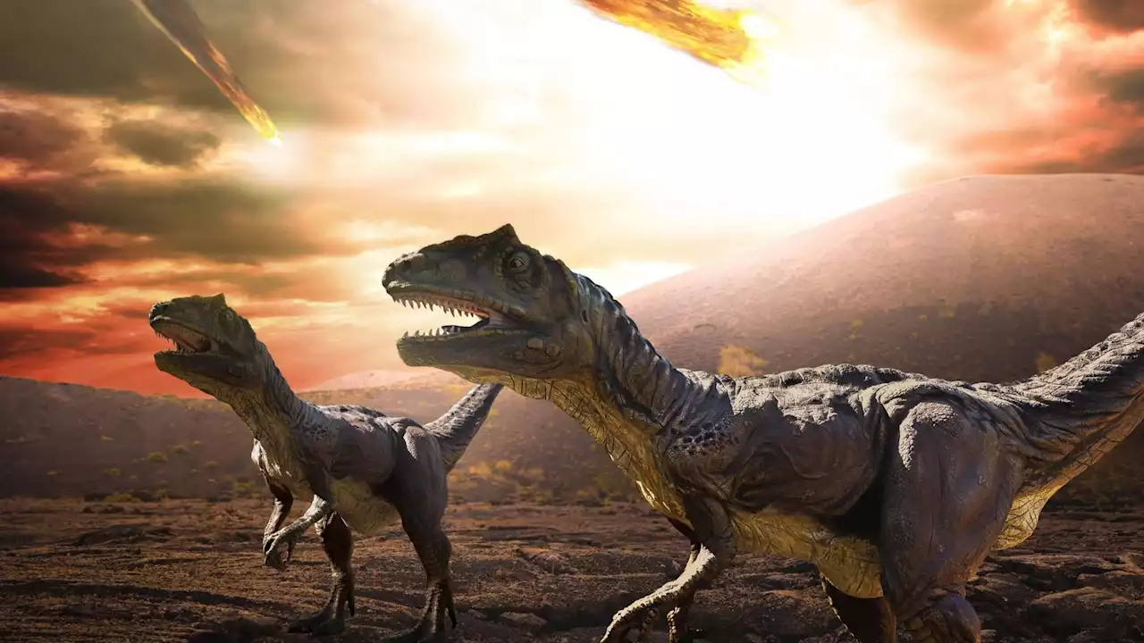 Dinosaurs were in their prime until an asteroid hit the Earth 66 million years ago