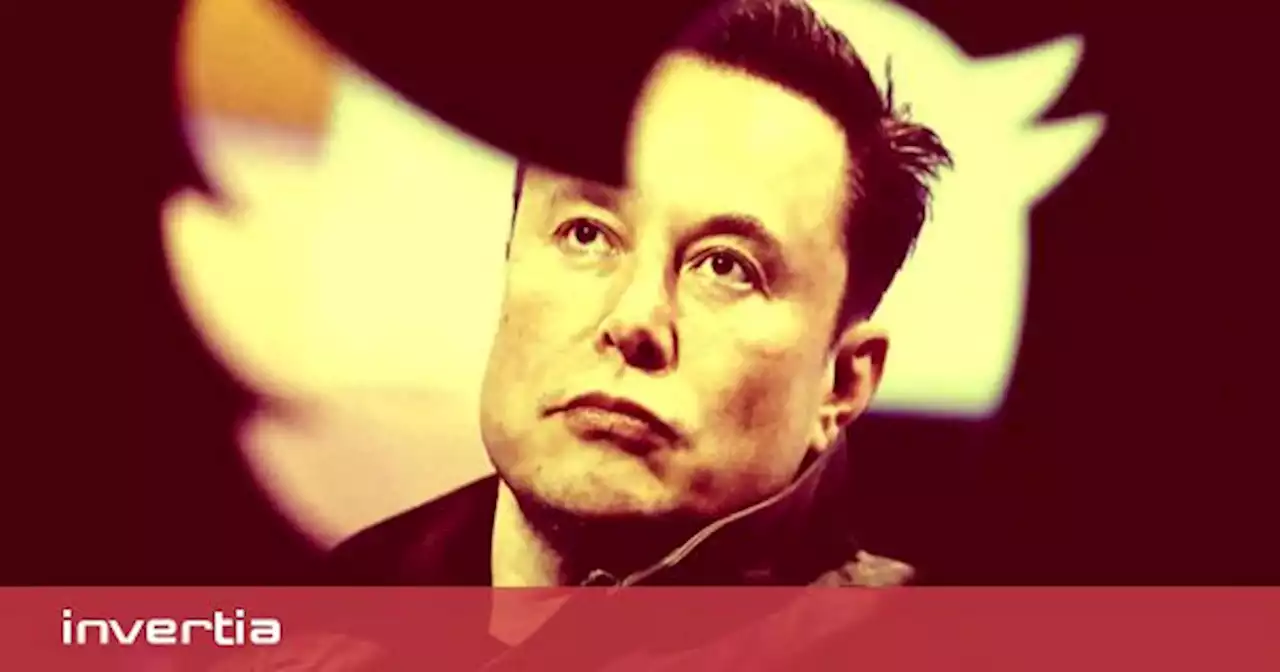 El plan de Musk para Twitter: ir contra el movimiento woke