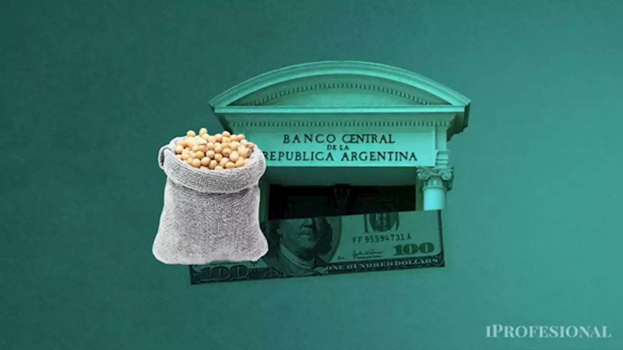 Dólar soja: BCRA compró hoy más de lo que liquidaron los sojeros