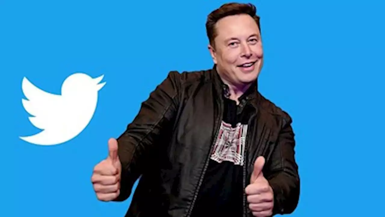 Crypto Twitter rejoices as Elon Musk drastically reduces bot activity on the platform