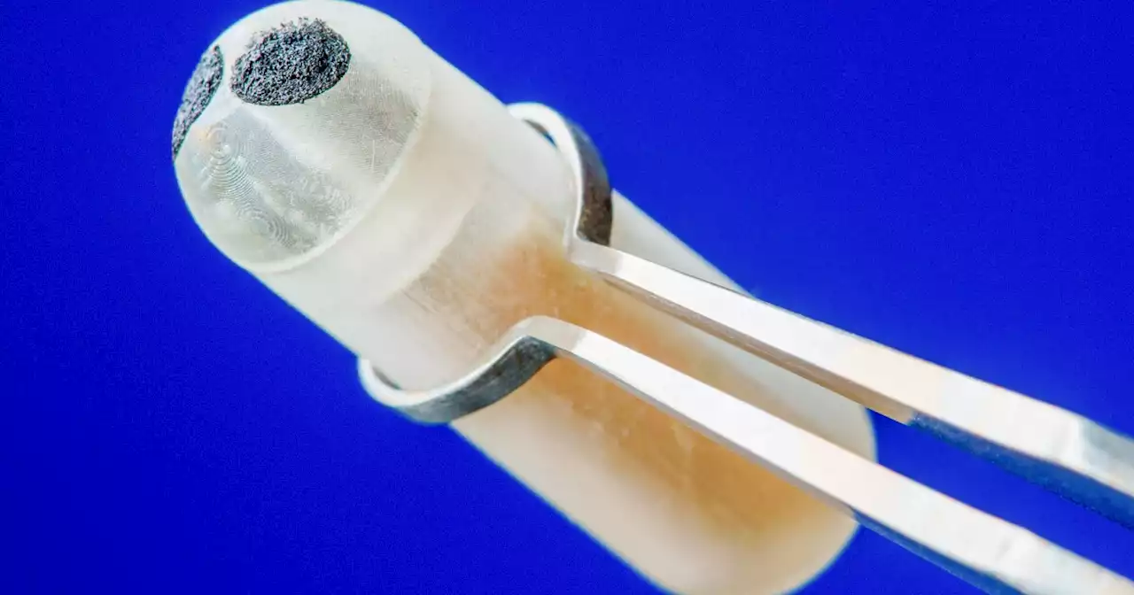 Scientists test ingestible device that measures metabolism