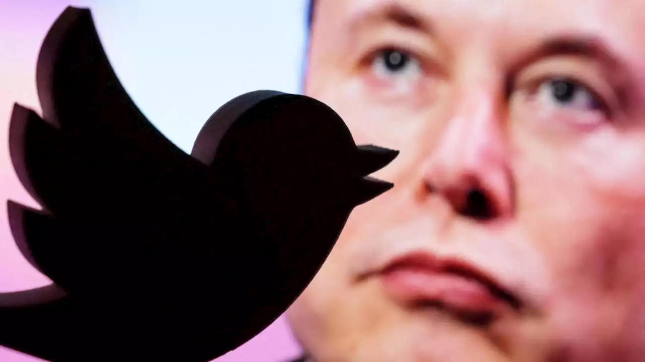 Twitter, Washington Post: Musk ha smantellato il comitato per la sicurezza del social