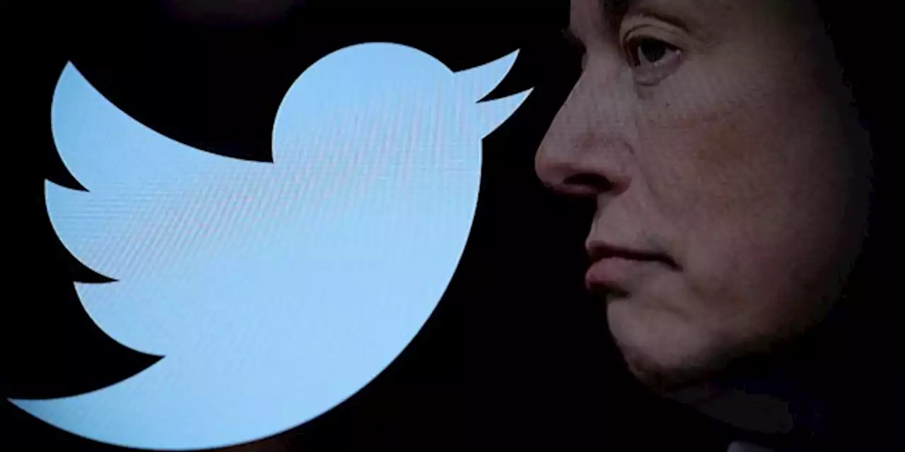 « Twitter files » : Elon Musk s'enfonce dans la guerre culturelle pendant que le réseau social vivote