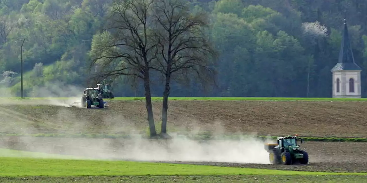 L’agriculture française doit-elle laisser les clés du tracteur à Niel et McKinsey ?