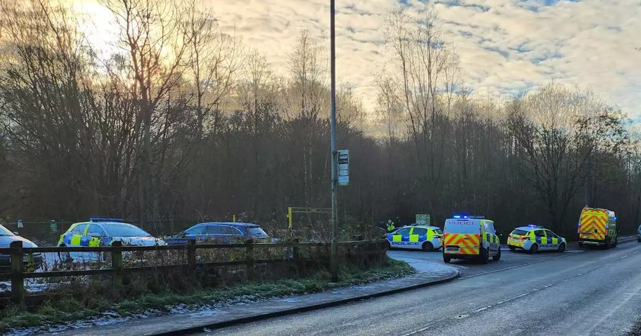 Emergency services scrambled as man found dead in country park