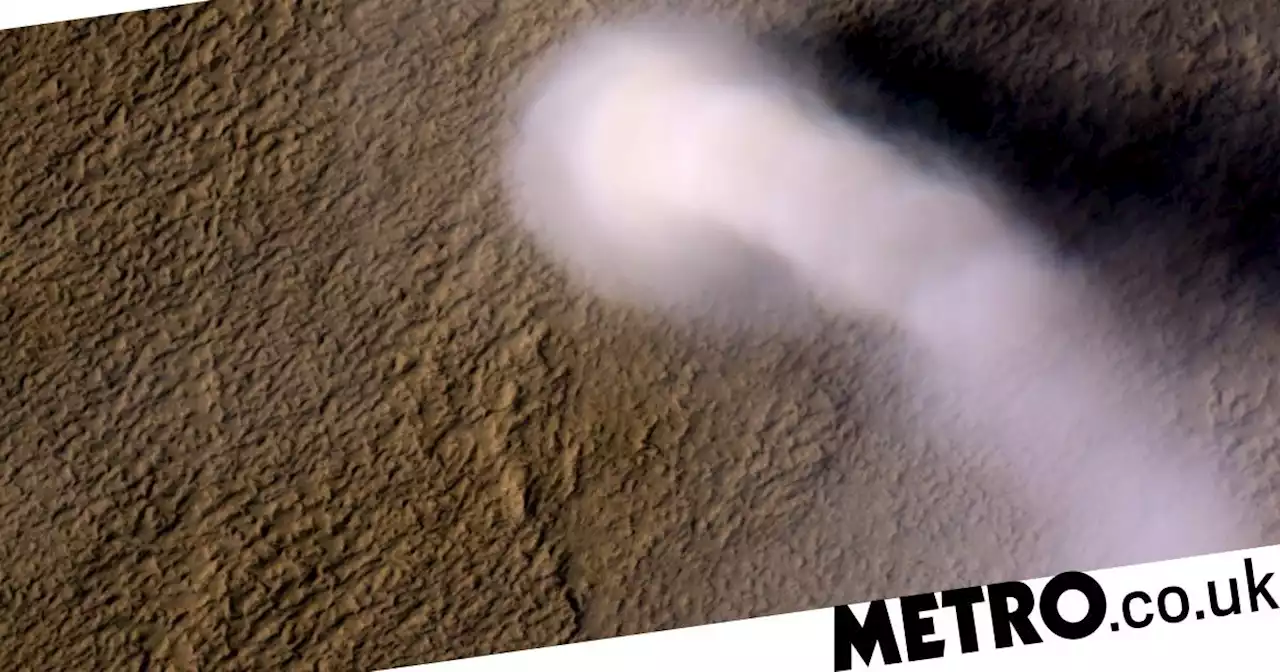 Tornadoes on Mars heard for the first time as Nasa records 'dust devil' audio