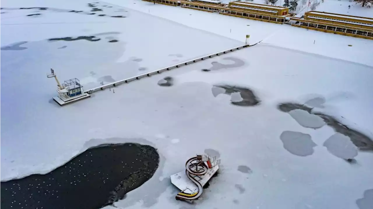 Eisflächen in Berlin: DLRG mit eindringlichem Appell