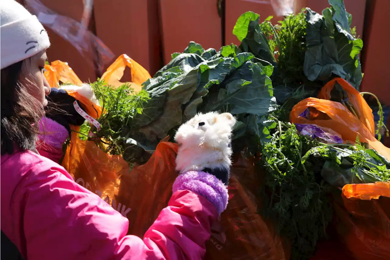 More Than a Holiday Wish: Ending Hunger in America