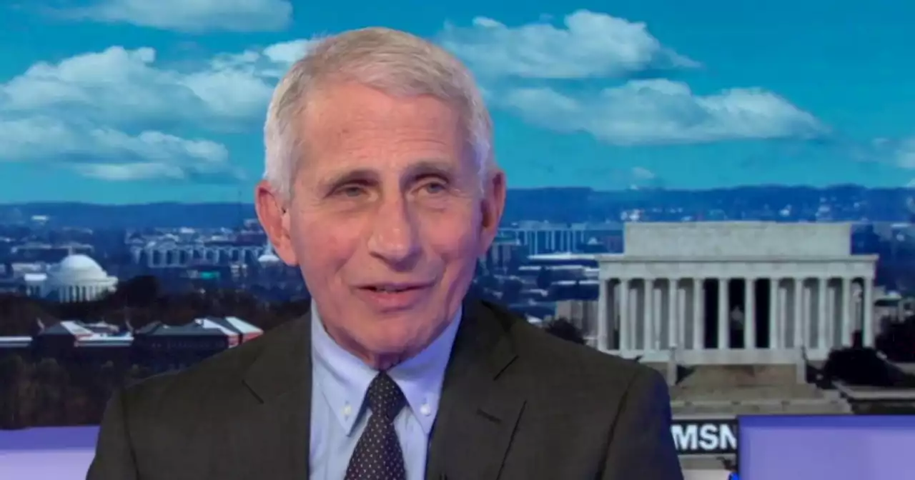 Fauci addresses Elon Musk's critical tweets: 'I don't pay attention to that'