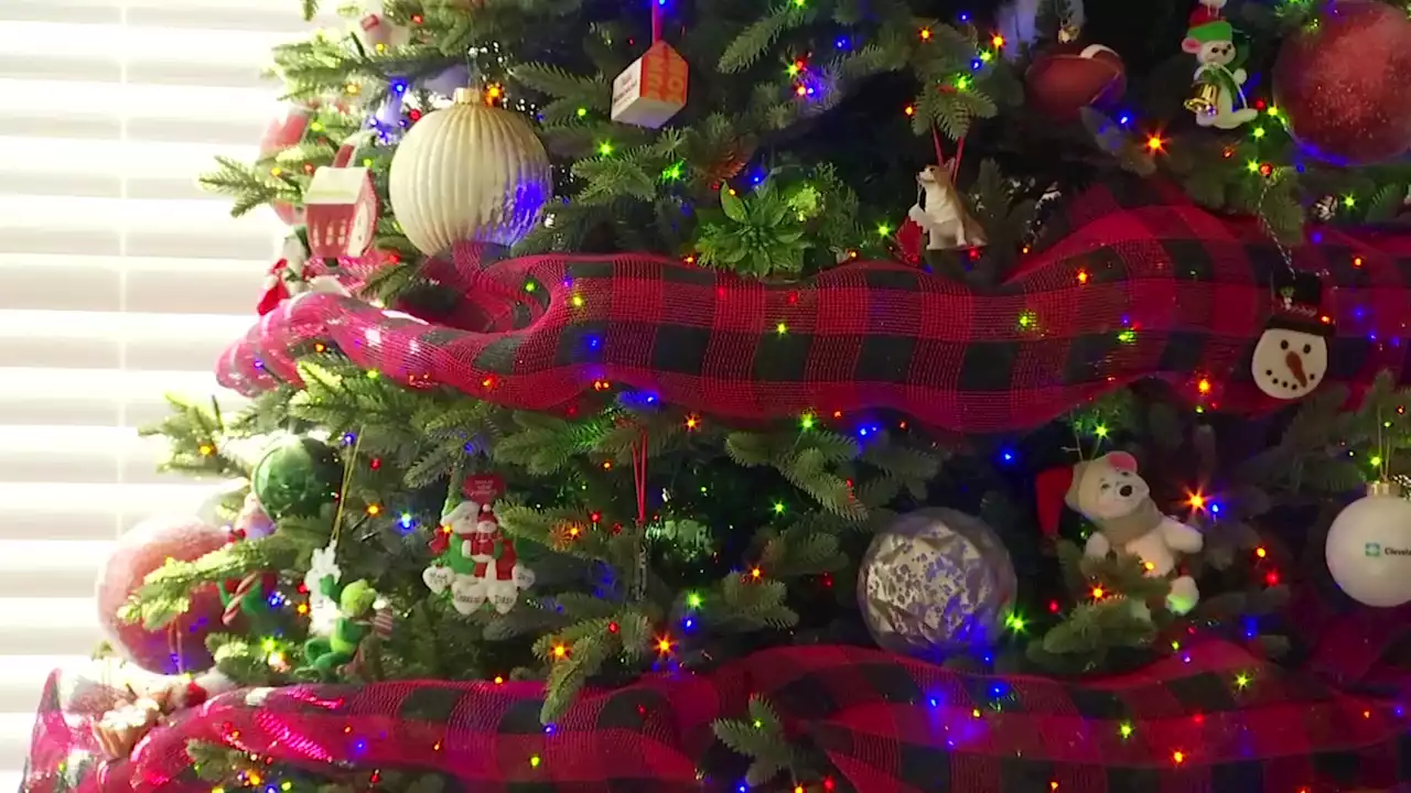 After Uproar, Dedham Libraries to Put Up Christmas Trees: ‘There Is No Ban'