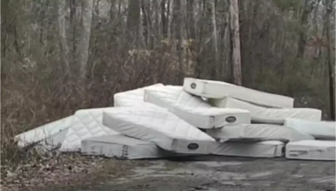 Pile of Mattresses Dropped Off by Fall River Water Supply