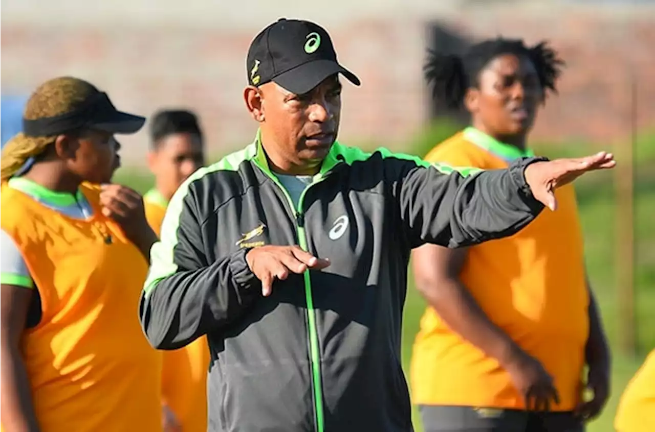 SA Rugby confirms Raubenheimer departure, seeks new Springbok Women's coach | Sport