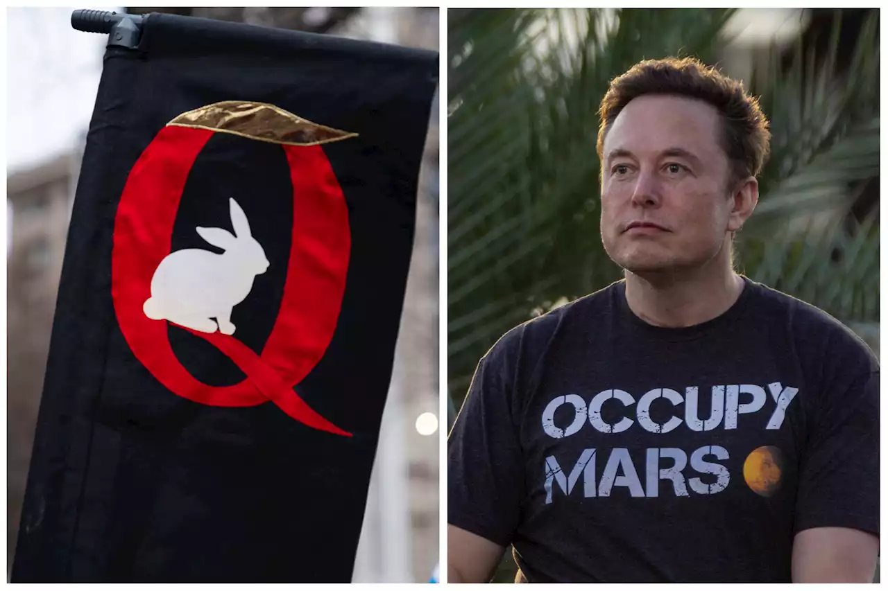 QAnon followers are reading into Elon Musk's white rabbit tweet