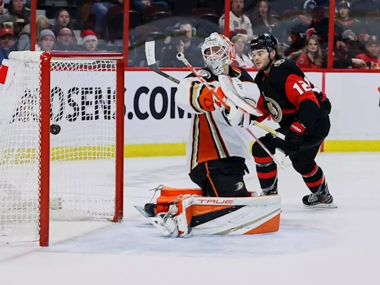 Tim Stutzle injured but Ottawa Senators win-streak continues with defeat of Anaheim Ducks