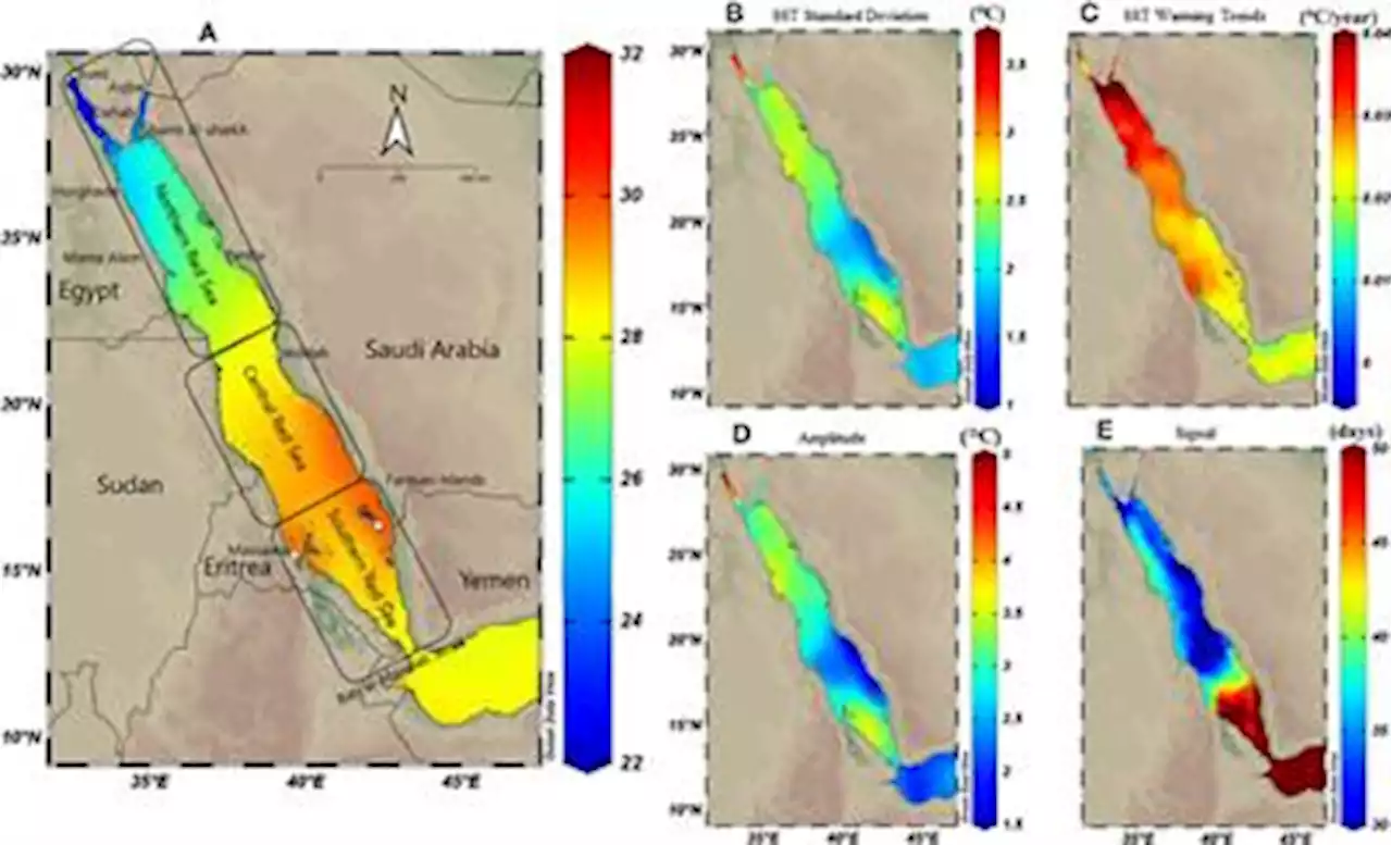 Frontiers | Appraisal of coral bleaching thresholds and thermal projections for the northern Red Sea refugia