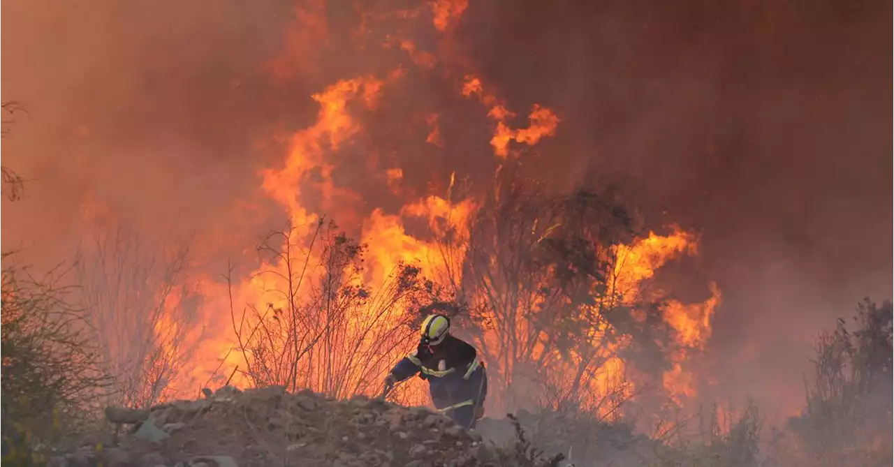 Chile battles to combat forest fires amid threat to residents