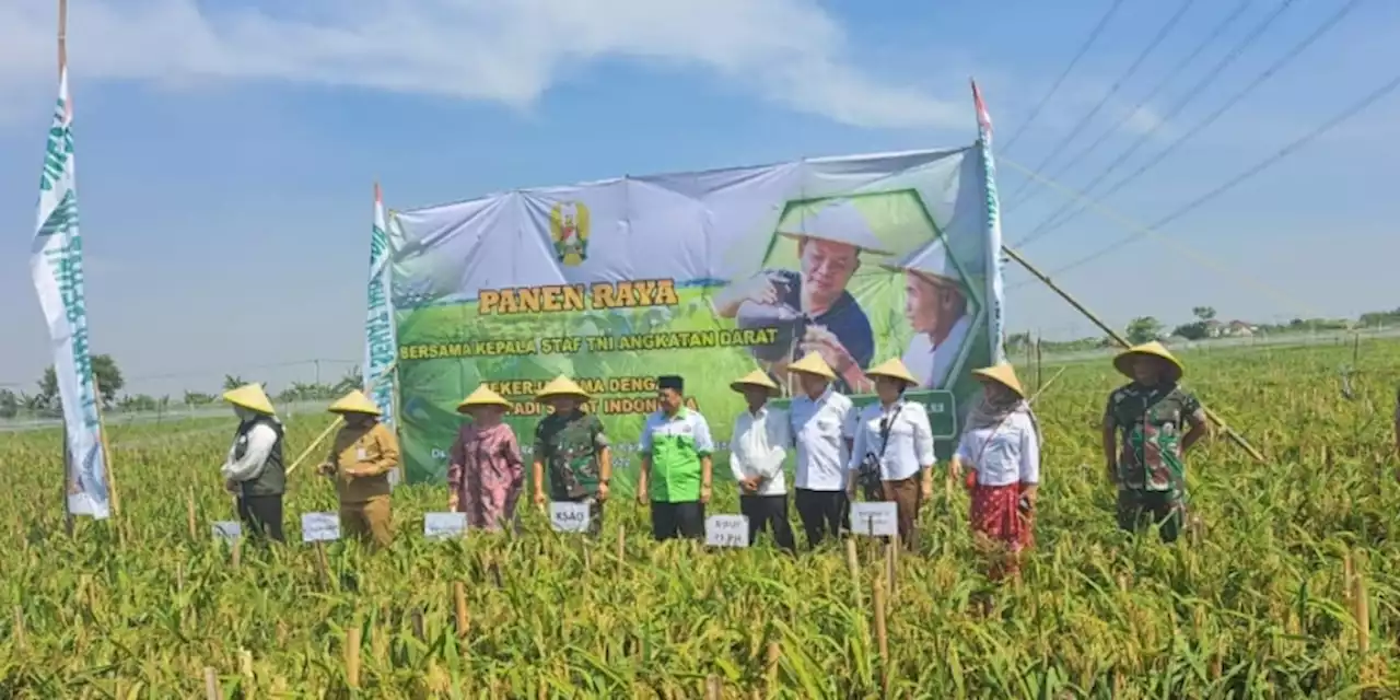 Padi Sehat Gandeng TNI dan NU Wujudkan Kesejahteraan Petani