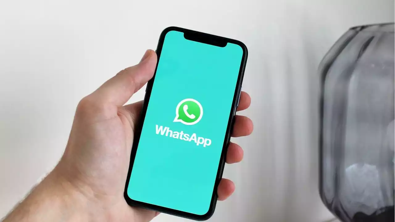 Whatsapp messages could soon disappear as soon as they're read