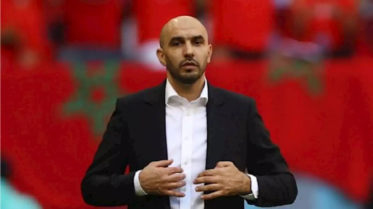 Walid Regragui: Timnas Maroko Belum Puas Hanya Sampai Semifinal Piala Dunia 2022